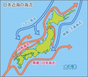 日本海流