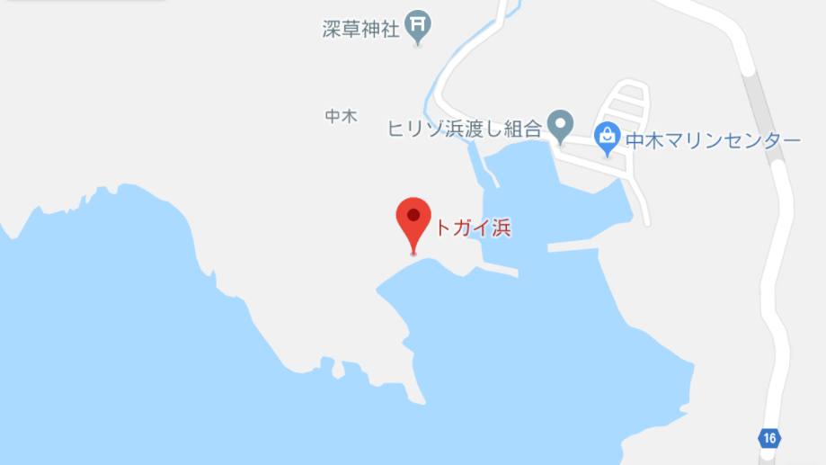 南伊豆半島 ヒリゾ浜 シュノーケリングツアー ブログ ページ 2