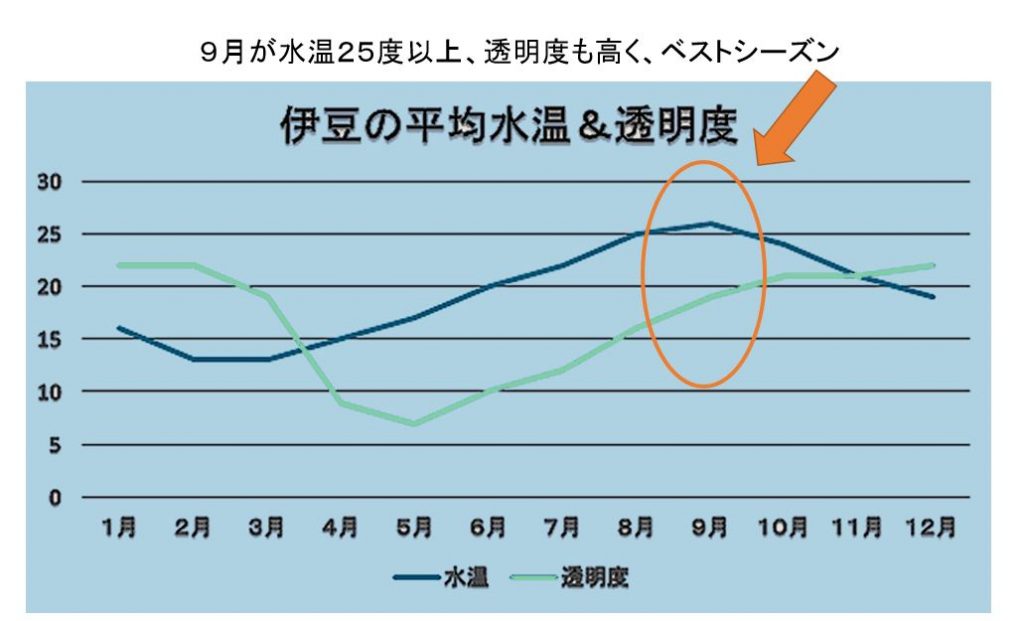 南伊豆半島 ヒリゾ浜 シュノーケリングツアー ブログ ページ 2